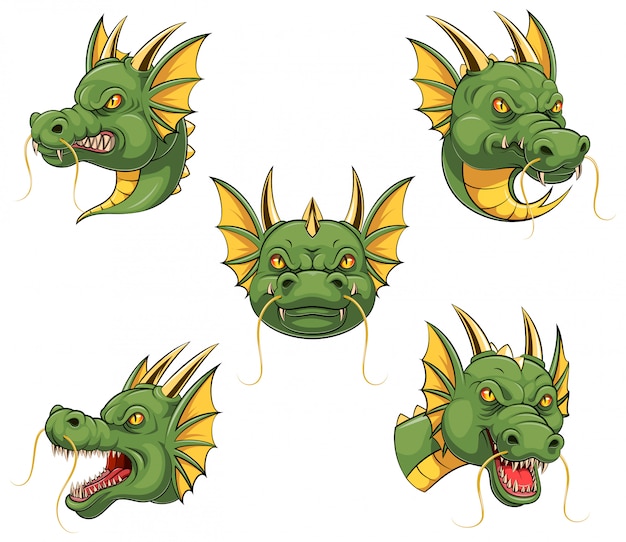 Collection De Mascotte En Tête De Dragon