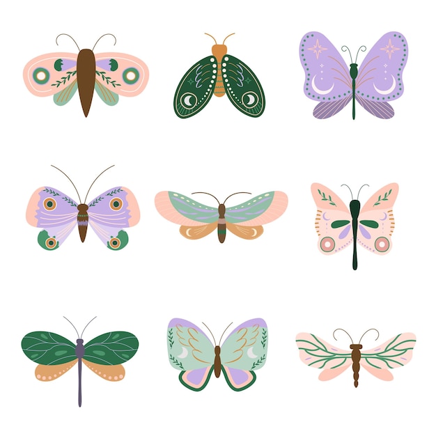 Collection De Mites Et Papillons