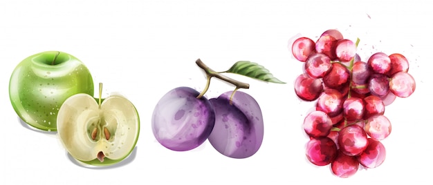 Collection De Modèles Aquarelle Vector Fruits D'été