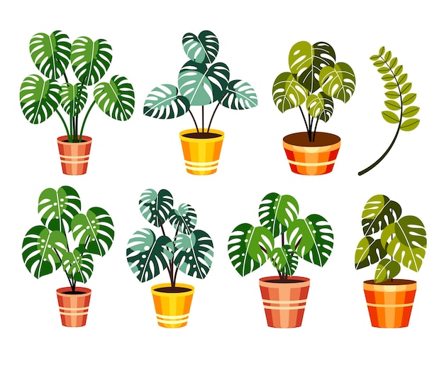 Vecteur la collection de monstera est illustrée par des vecteurs.