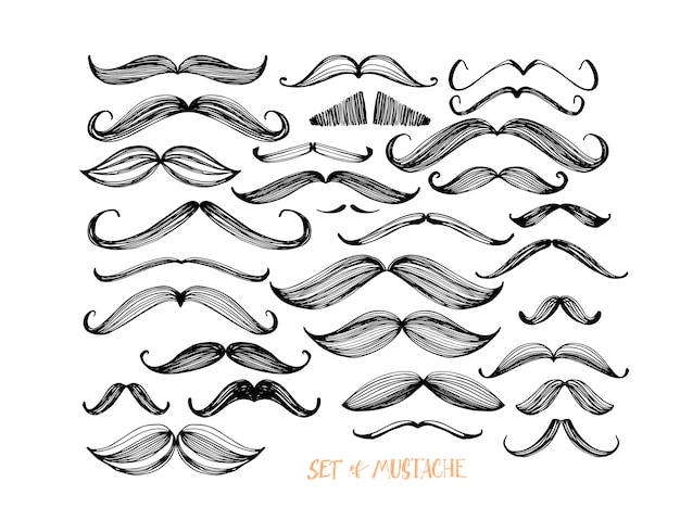 Collection De Moustache Dessinée à La Main.