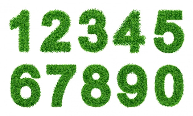 Vecteur collection de nombres. l'herbe verte a rempli le personnage. zéro à neuf, les chiffres. illustrations vectorielles