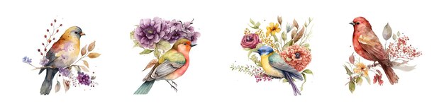 Vecteur collection d'oiseaux à l'aquarelle illustration d'animaux