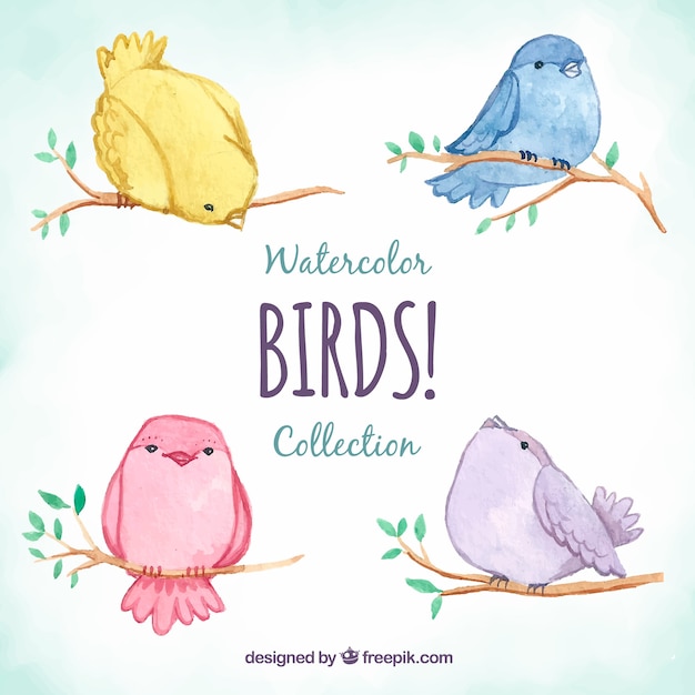 Collection D'oiseaux Aquarelle Mignonne