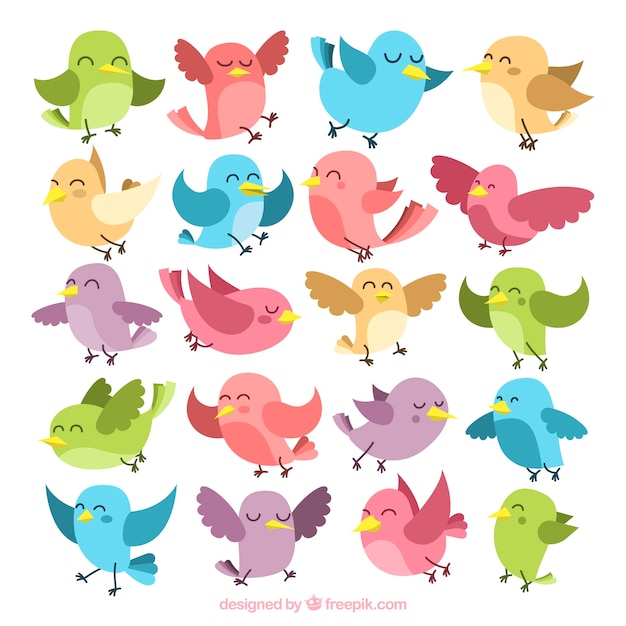 Collection d&#39;oiseaux colorés