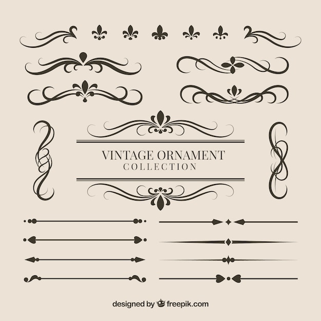 Collection D'ornements Dans Le Style Vintage