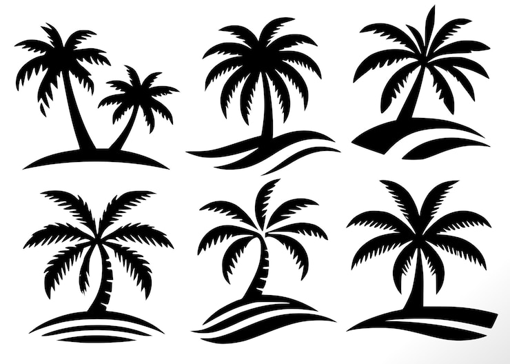 Vecteur collection de palmiers tropicaux ou de cocotiers isolés sur fond blanc