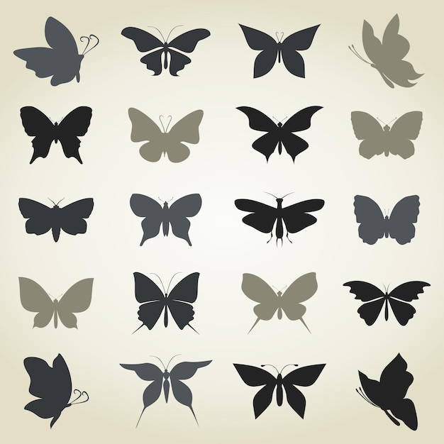 Vecteur collection le papillon