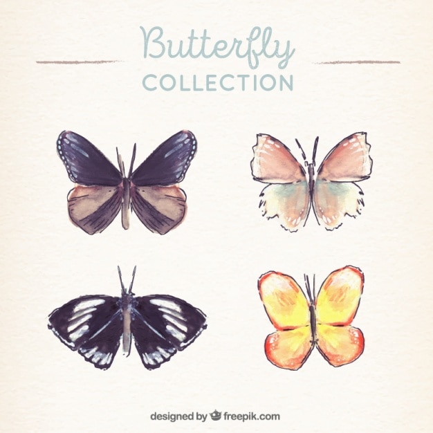 Collection De Papillons D'aquarelle