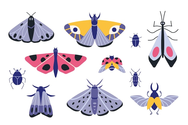 Vecteur collection de papillons exotiques mites et bugs cartoon style ensemble d'insectes illustration vectorielle moderne dernier cri isolée sur fond blanc design plat dessiné à la main