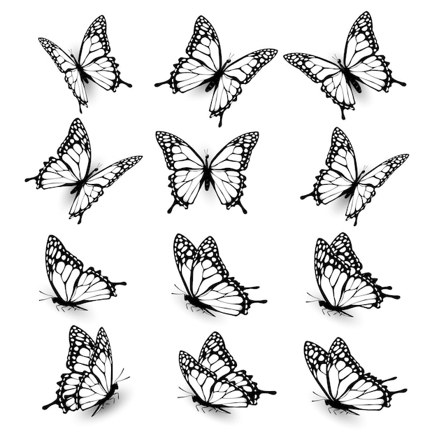 Vecteur collection de papillons volant dans différentes directions silhouette de papillon vector