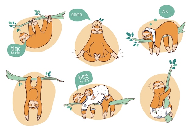 Collection De Paresseux Drôles Dans Différentes Postures. Animal Exotique Paresseux Dormant, Faisant La Sieste Et Se Relaxant Sur Une Branche D'arbre Tropical. Personnage De Dessin Animé Mignon Faisant Des Choses Quotidiennes. Illustration Vectorielle Colorée.