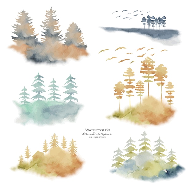 Collection De Paysages Aquarellés Avec Des Pins Et Des Sapins Conifères Brumeux