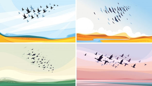 Vecteur collection de paysages de la faune. oiseaux migrateurs dans le ciel.