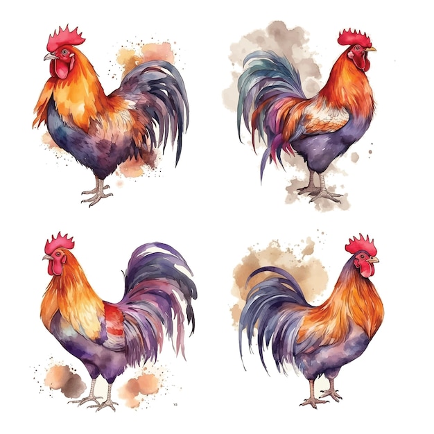 Collection De Peinture Aquarelle Coq