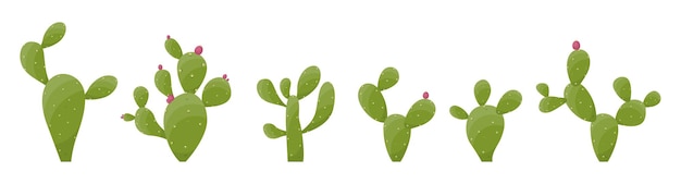 Collection De Plantes De Cactus Du Désert De Dessin Animé 4