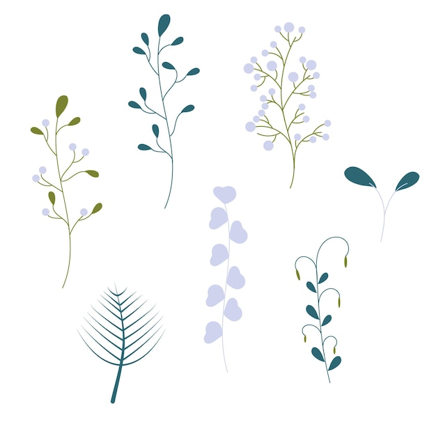 Collection De Plantes Dessinées à La Main De Couleur Pastel