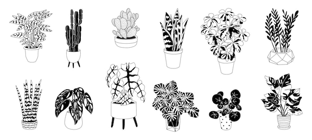 Collection de plantes d'intérieur dans les pots de fleurs modernes Belle composition avec des éléments de la nature à l'intérieur Design pour la maison et le bureau Noyer à la main Style plat en illustration vectorielle