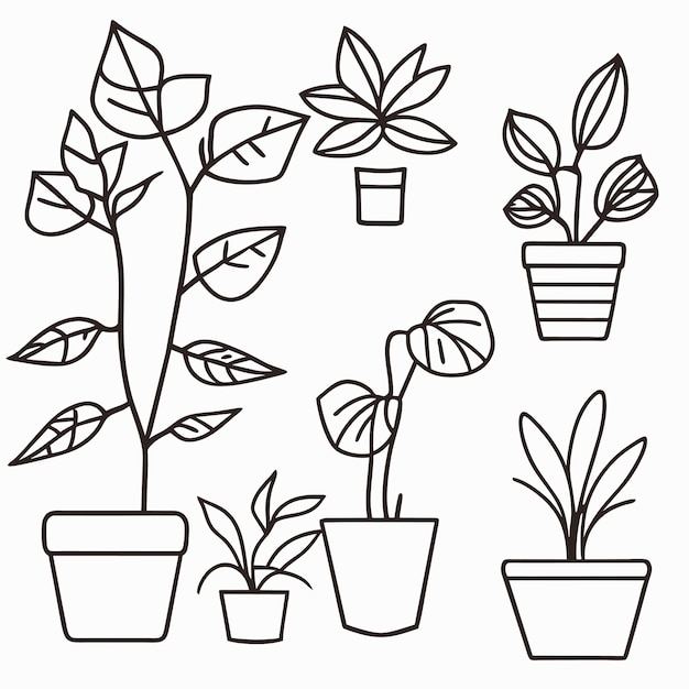Vecteur collection de plantes d'intérieur dessinées à la main ou collection de belles plantes d'intérieur en pots