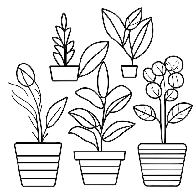 Collection de plantes d'intérieur dessinées à la main ou Collection de belles plantes d'intérieur en pots