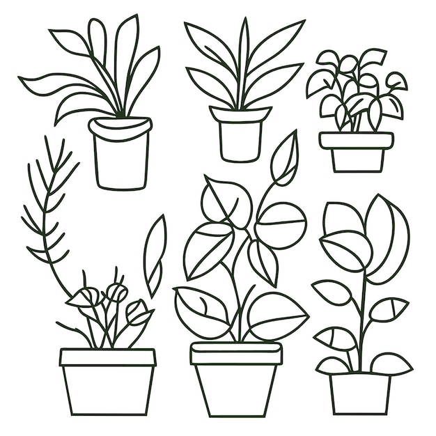 Vecteur collection de plantes d'intérieur dessinées à la main ou collection de belles plantes d'intérieur en pots