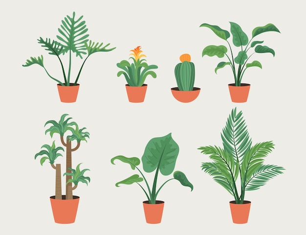 Collection de plantes d'intérieur plat bio