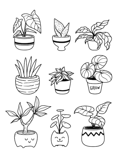 Collection De Plantes En Pot Isolé Sur Blanc