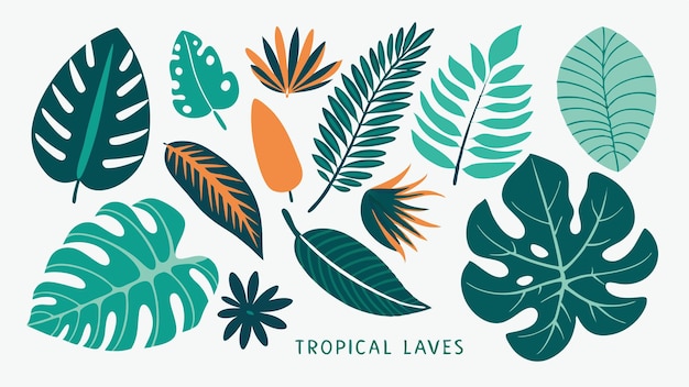 une collection de plantes tropicales et d'arbres à feuilles
