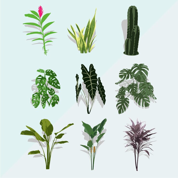 Vecteur une collection de plantes tropicales de différentes couleurs et formes