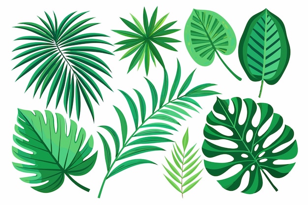 une collection de plantes vertes avec des feuilles et des plantes