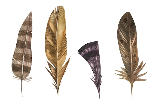 Collection De Plumes D'oiseaux Ethniques Dessinés à La Main à L'aquarelle.