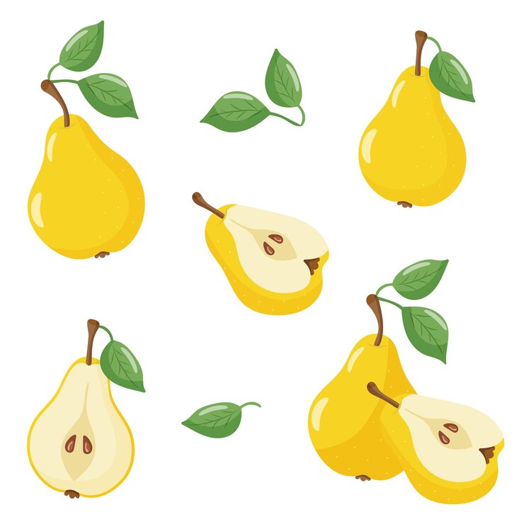 Vecteur une collection de poires avec des feuilles et des fruits