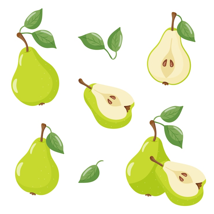 Vecteur une collection de poires avec des feuilles vertes et une poire