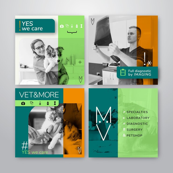Vecteur collection de publications instagram pour les entreprises vétérinaires