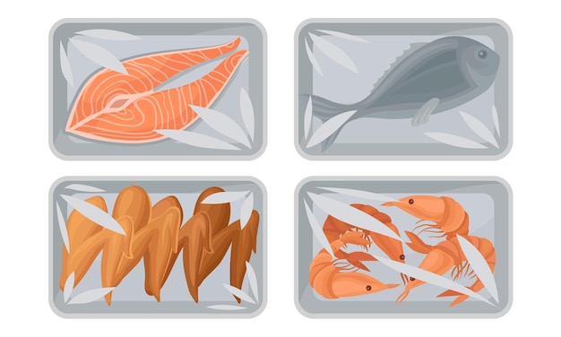 Vecteur collection de récipients en plastique pour la nourriture avec des couvertures en cellophane transparent pour le steak de saumon frais
