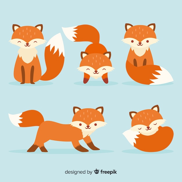 Collection de renards dessinés à la main
