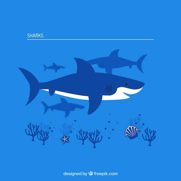 Collection Sharks