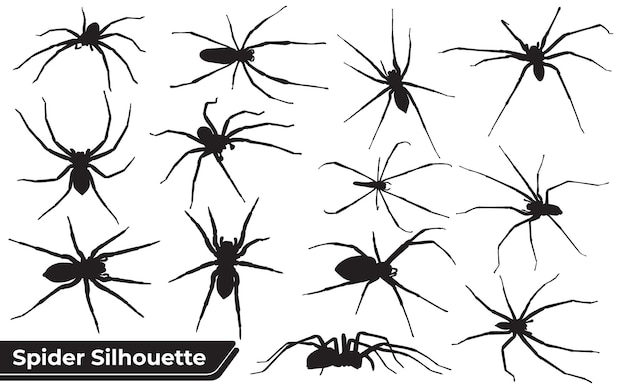 Collection De Silhouette D'araignée Animale Dans Différentes Poses