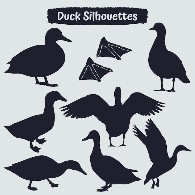 Collection De Silhouette De Canard Dans Différentes Poses