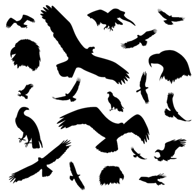 Vecteur collection de silhouettes d'aigle vectoriel