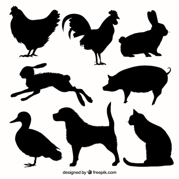 Collection De Silhouettes D'animaux