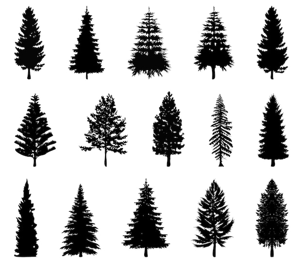 Collection de silhouettes d'arbres de conifères Set de faisceau d'arbre de silhouette d'épinette de noël et de nouvelle année