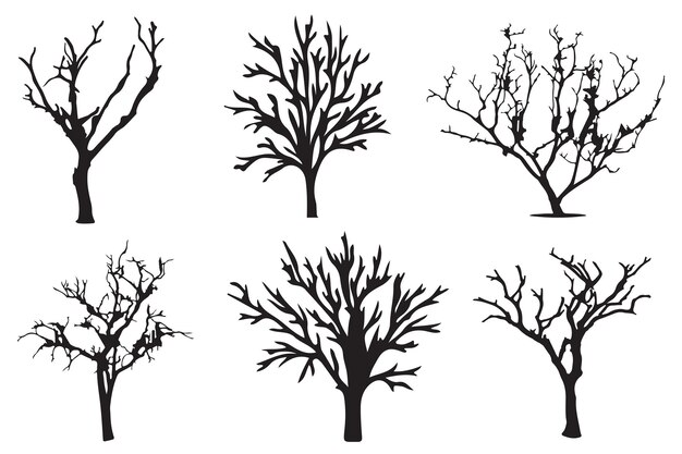 Vecteur collection de silhouettes d'arbres morts et secs illustration de décors design artistique vectoriel
