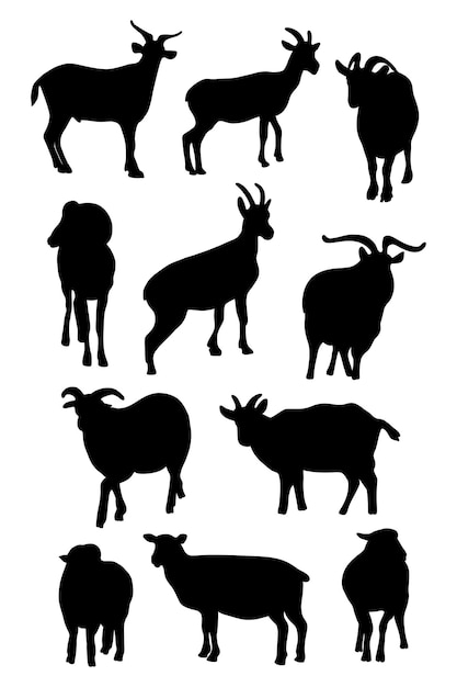 Vecteur collection de silhouettes de bélier et de chèvre dessins à la main isolés d'animaux de ferme