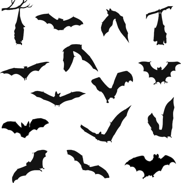 Vecteur collection de silhouettes de chauve-souris pour halloween