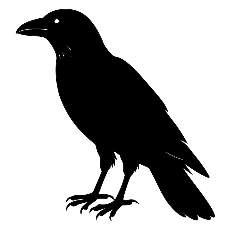 Vecteur collection de silhouettes de corbeau dans plusieurs poses pour halloween designs gothiques et sur le thème de la nature