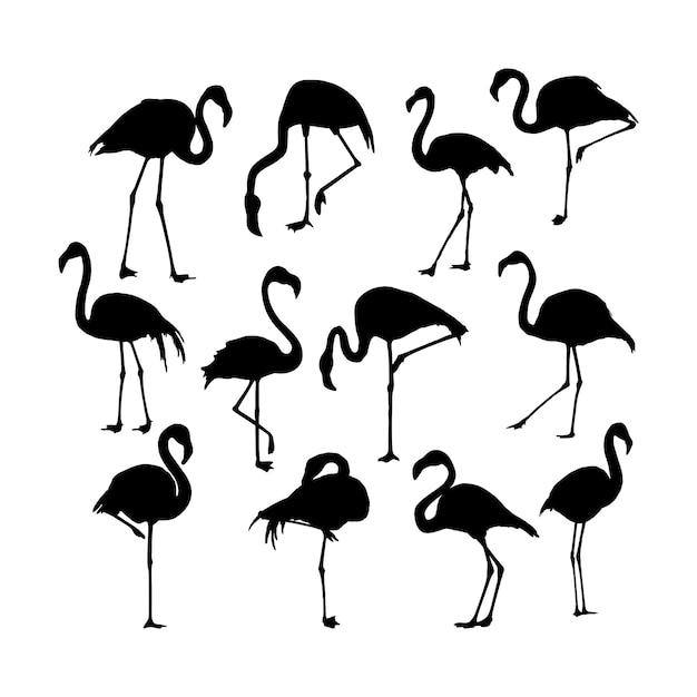 Vecteur collection de silhouettes de flamants vectoriels