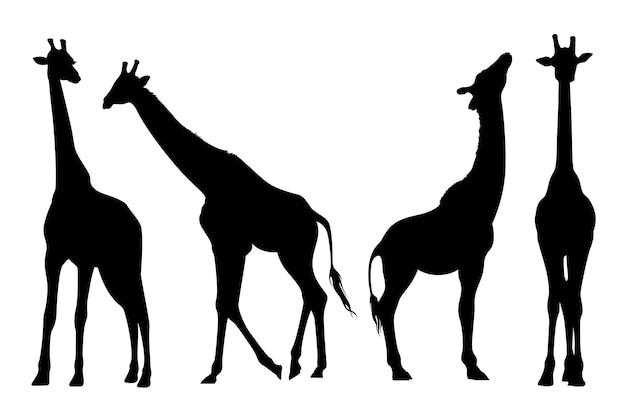 Vecteur collection de silhouettes de girafe dessinées à la main