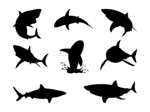 Collection de silhouettes de grand requin blanc