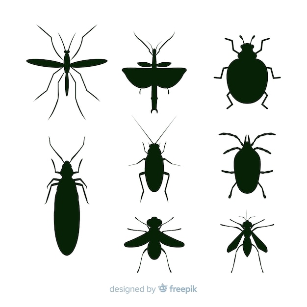 Collection De Silhouettes D'insectes Noirs